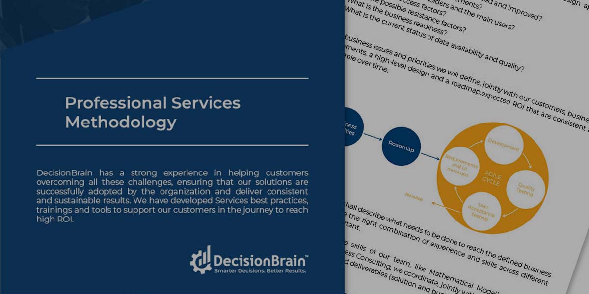 [Downloadable] DecisionBrain’s Professional Services Methodology PDF